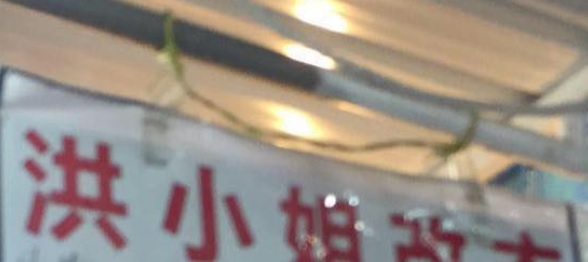 推介: 洪小姐改衣